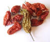 Whole Bhut Jolokia 6 Dried Chilli Pods