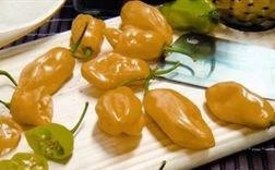 Lemon Habanero