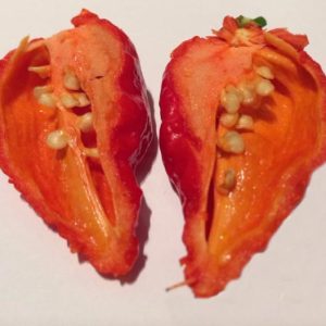 Trinidad 7 pot Barrackpore