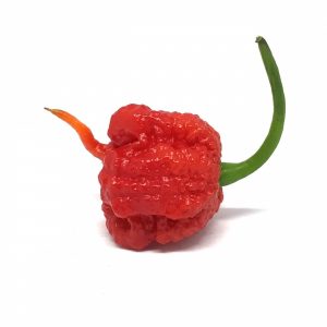 Carolina Reaper Pods