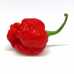 Trinidad Scorpion Moruga Dried Pods